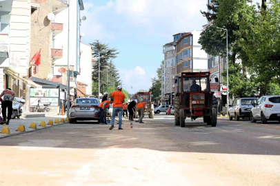 Bilecik’te çim biçme ve ilaçlama çalışmaları hız kazandı
