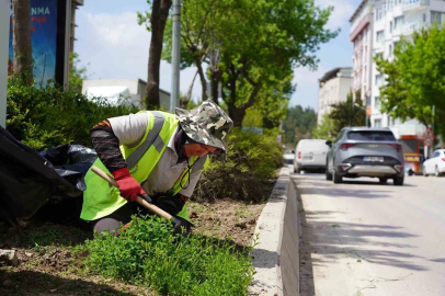 Bilecik’te park ve bahçeler müdürlüğünden yaza hazırlık çalışmaları
