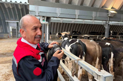 Müdür Düzgün: "256 kesim yeri için onay verildi"
