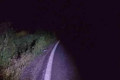 Bilecik’te motosiklet kazasında 1 kişi yaralandı
