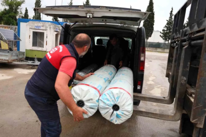 Seraları zarar gören üreticilere destek
