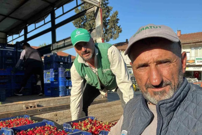 İznik’te mevsimin ilk karabodur kirazı hasadı başladı
