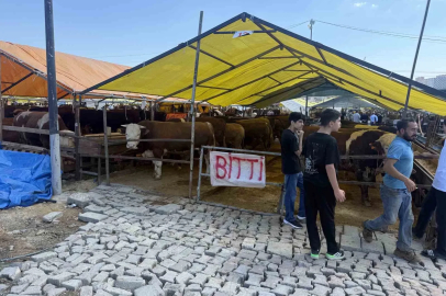 Avcılar’da kurbanlıkların büyük kısmı tükendi, satıcılar çadırlara ‘Bitti’ yazısını astı
