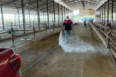 Havran’da kurban bayramı sonrası biyogüvenlik önlemi
