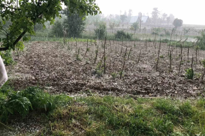 Bursa’da dolu… Keles’te tarım arazilerini dolu vurdu
