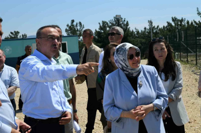 Tekirdağ Valisi Soytürk, Şarköy’deki sahipsiz hayvan doğal yaşam alanını inceledi
