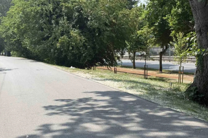 Aracında silahla vurulmuş halde ölü bulundu
