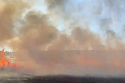 Balıkesir’de arazi yangını
