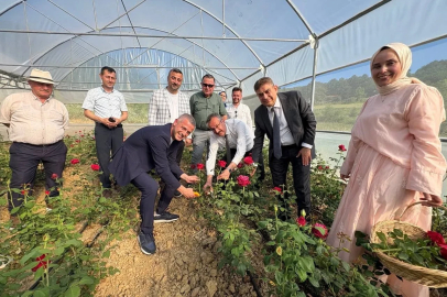 Kadın girişimci hibe desteğiyle Kocaeli’nin ilk gül serasını kurdu
