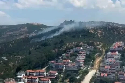 Burhaniye’deki zeytinlik yangını kontrol altına alındı
