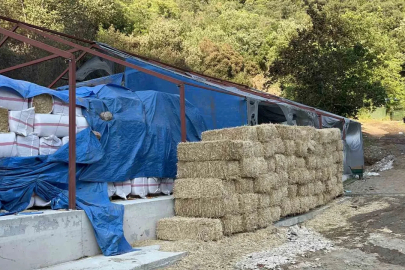 Bursa’daki orman yangınında 1 kişi gözaltına alındı
