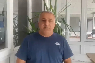 Bursa’nın içme suyu barajına giden derede balık ölümleri korkuttu
