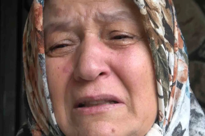 Bursa’da ormanda bulunan ceset 8 aydır kayıp Tolgahan’a mı ait
