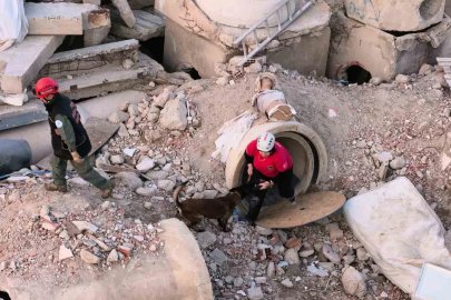 İnegöl’de K9’lara hayat kurtaran eğitim
