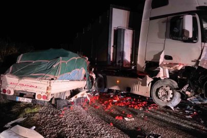 Tır ile kamyonet kafa kafaya çarpıştı: 2 ağır yaralı
